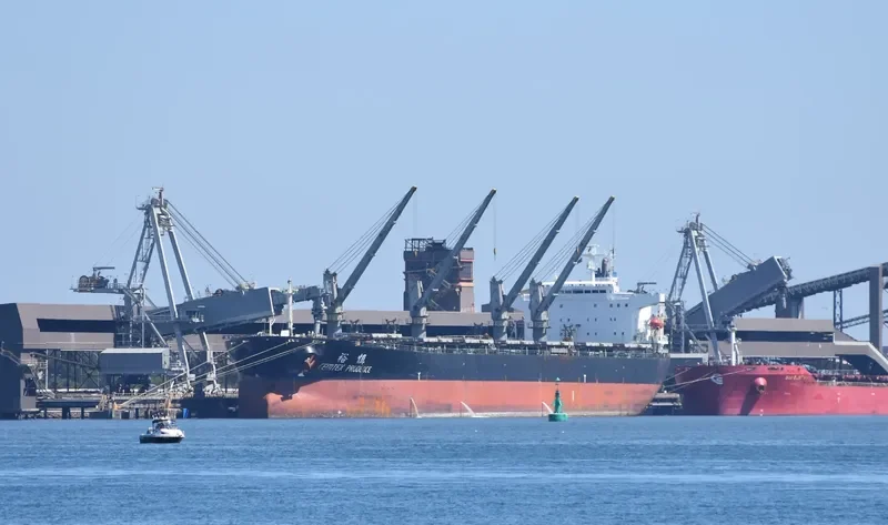 XIN YU LONG Bulk Carrier IMO 9184316