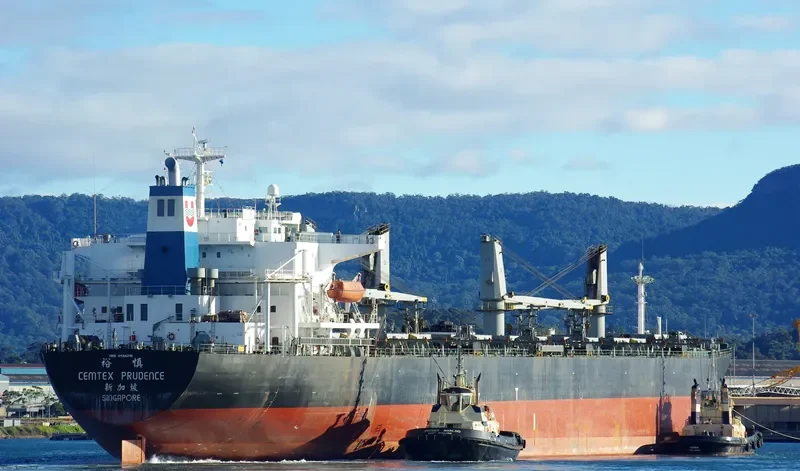XIN YU LONG Bulk Carrier IMO 9184316 photo 4