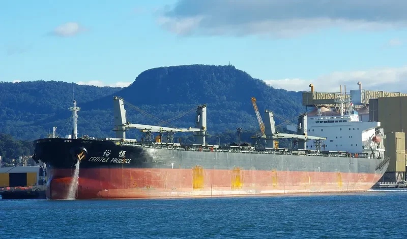 XIN YU LONG Bulk Carrier IMO 9184316 photo 5