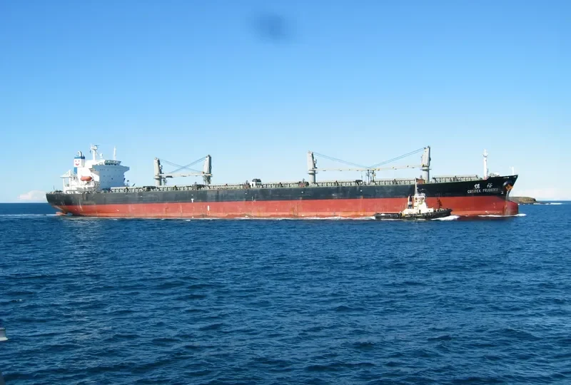 XIN YU LONG Bulk Carrier IMO 9184316 photo 6