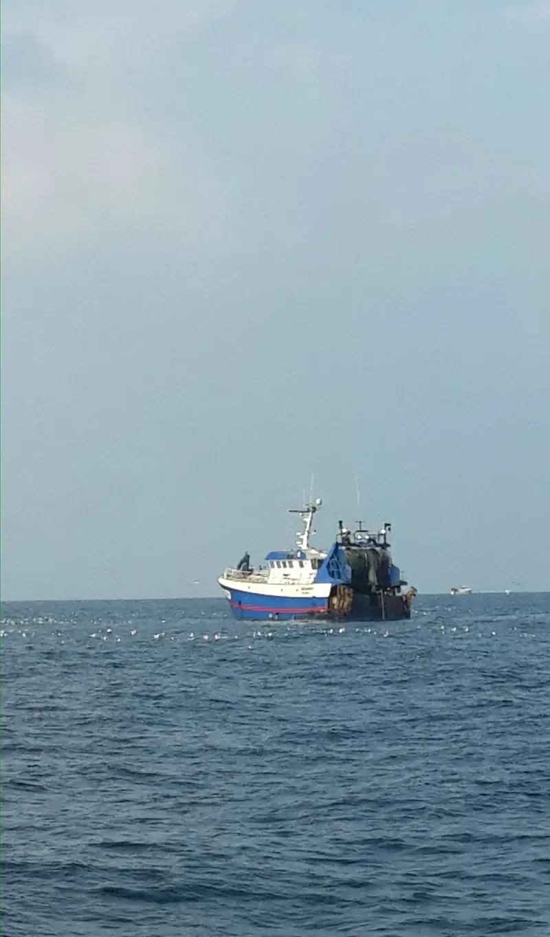 LES BARGES General Cargo IMO 9184378 photo 4