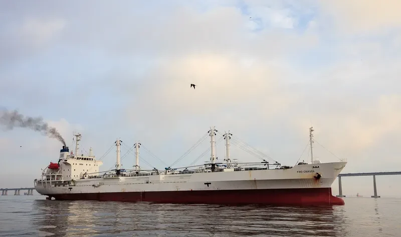 FRIO CHIKUMA General Cargo IMO 9184536 photo 4