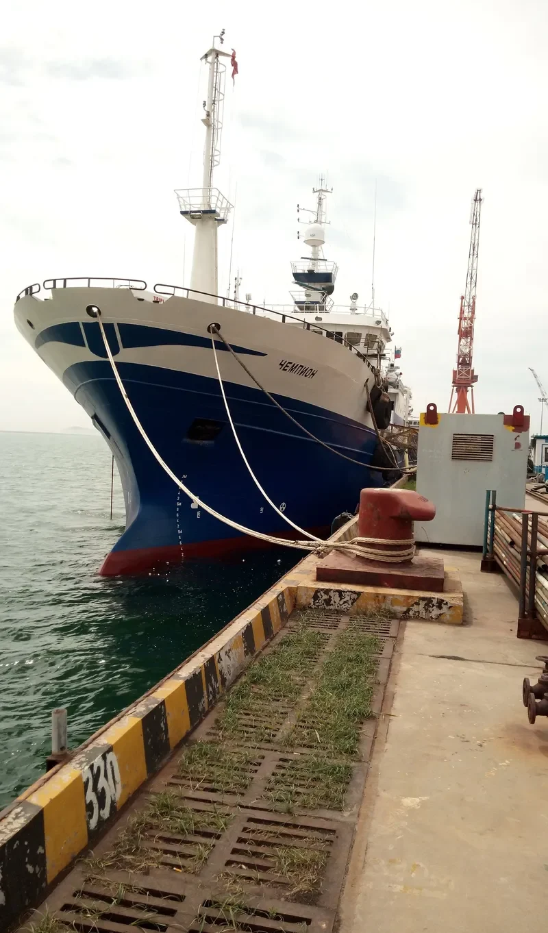 CHAMPION General Cargo IMO 9184627 photo 8