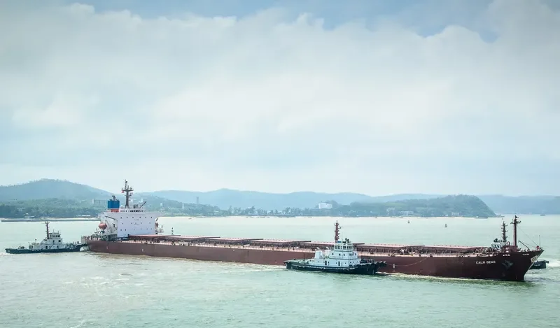 XIN YUAN XIANG Bulk Carrier IMO 9184835 photo 2