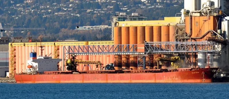 XIN YUAN XIANG Bulk Carrier IMO 9184835 photo 3