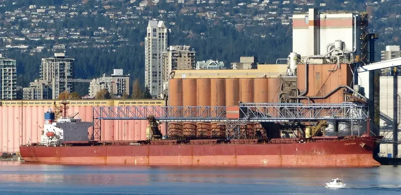 XIN YUAN XIANG Bulk Carrier IMO 9184835 photo 4