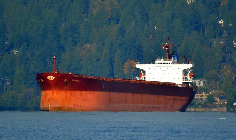 XIN YUAN XIANG Bulk Carrier IMO 9184835 photo 7