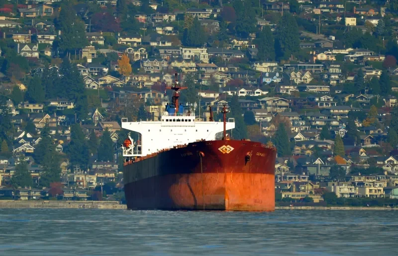 XIN YUAN XIANG Bulk Carrier IMO 9184835 photo 8