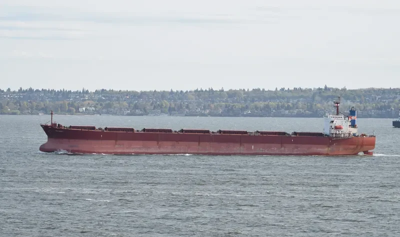 XIN YUAN XIANG Bulk Carrier IMO 9184835 photo 9