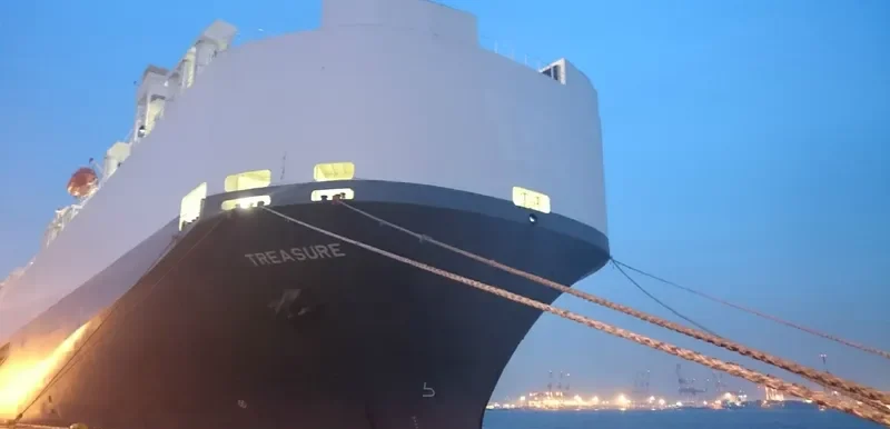 TREASURE General Cargo IMO 9184859 photo 2
