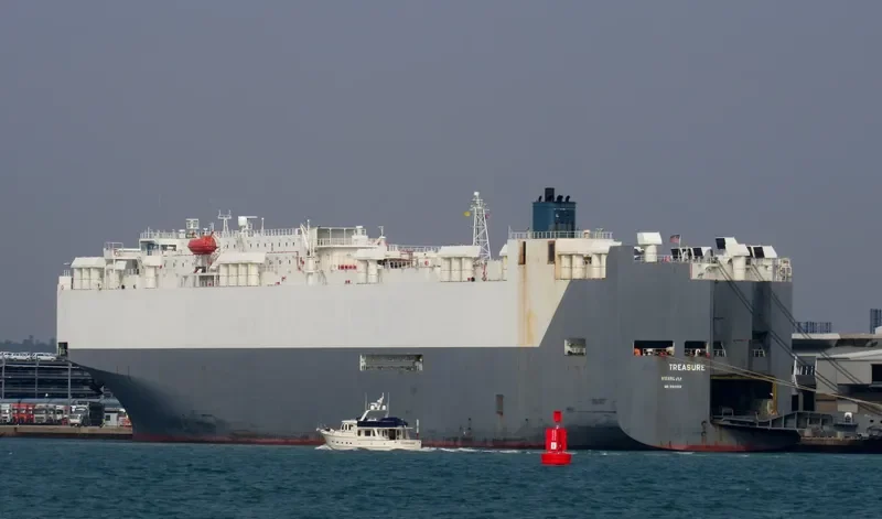 TREASURE General Cargo IMO 9184859 photo 4