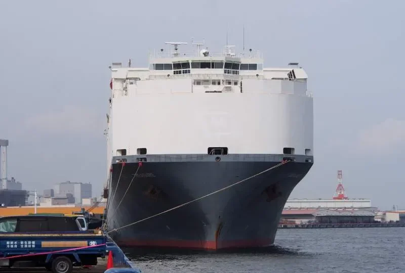 TREASURE General Cargo IMO 9184859 photo 6