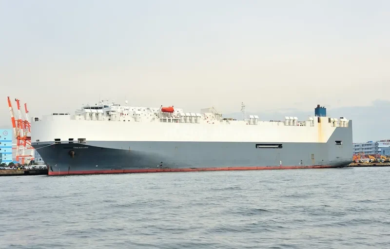 TREASURE General Cargo IMO 9184859 photo 8