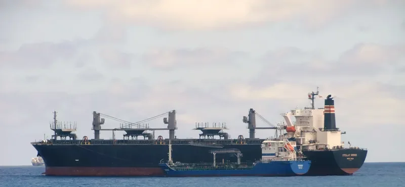 GREEN BAY Bulk Carrier IMO 9184897 photo 2