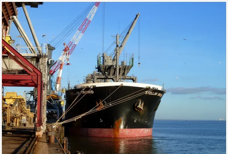 GREEN BAY Bulk Carrier IMO 9184897 photo 3