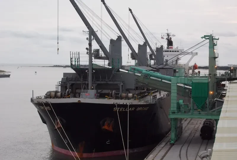 GREEN BAY Bulk Carrier IMO 9184897 photo 4