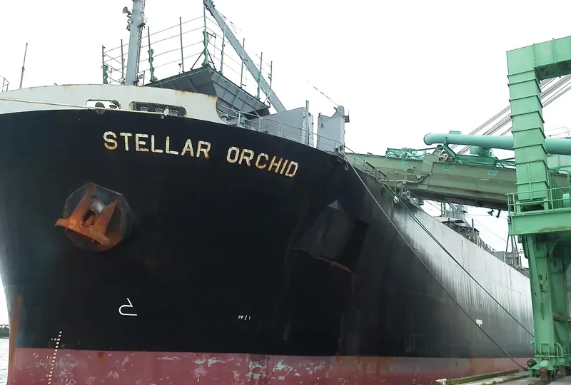 GREEN BAY Bulk Carrier IMO 9184897 photo 5