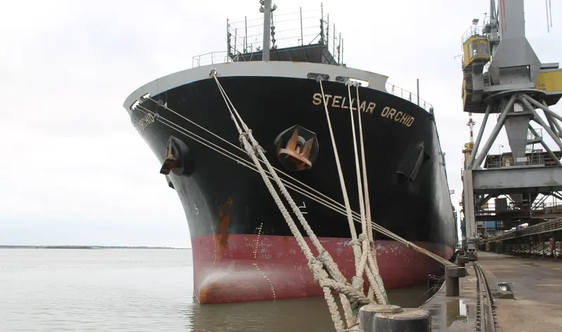 GREEN BAY Bulk Carrier IMO 9184897 photo 6