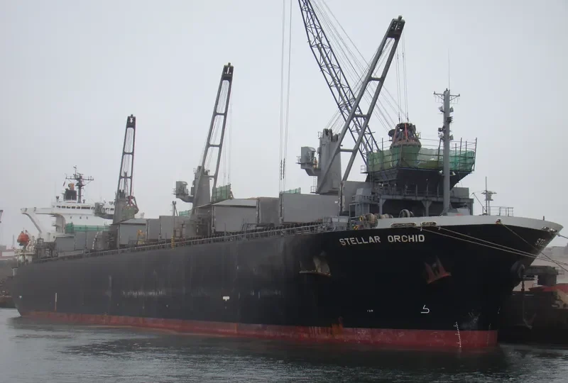 GREEN BAY Bulk Carrier IMO 9184897 photo 8