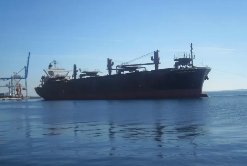 GREEN BAY Bulk Carrier IMO 9184897 photo 9