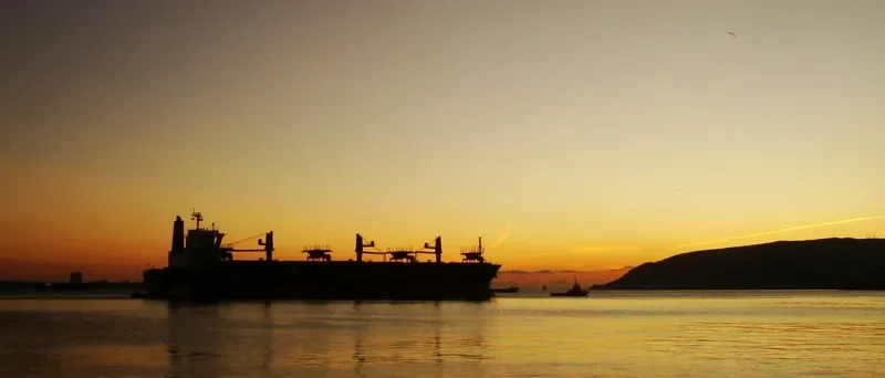 GREEN BAY Bulk Carrier IMO 9184897 photo 10