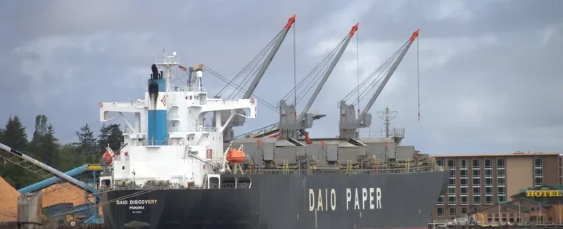 EVER AMPLE Bulk Carrier IMO 9184902