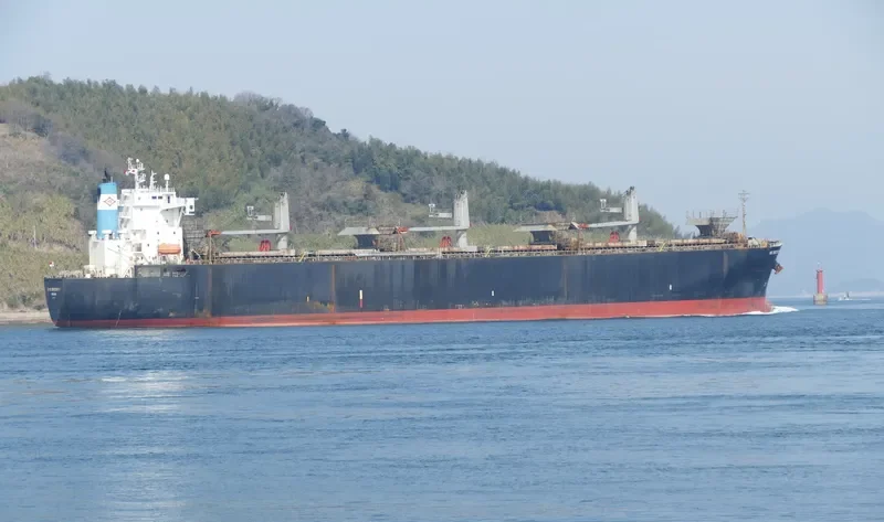 EVER AMPLE Bulk Carrier IMO 9184902 photo 2