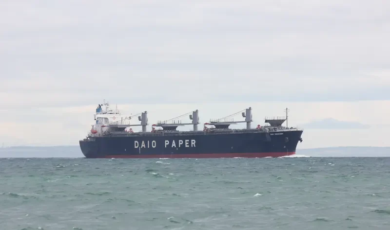 EVER AMPLE Bulk Carrier IMO 9184902 photo 9