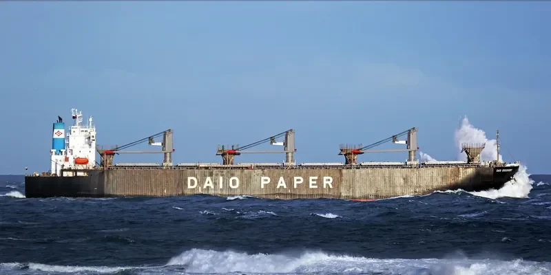 EVER AMPLE Bulk Carrier IMO 9184902 photo 10