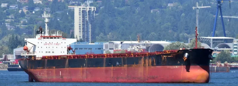NS NINGBO Bulk Carrier IMO 9184914 photo 2