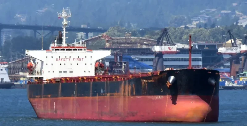 NS NINGBO Bulk Carrier IMO 9184914 photo 3