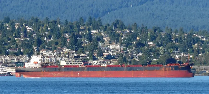 NS NINGBO Bulk Carrier IMO 9184914 photo 5