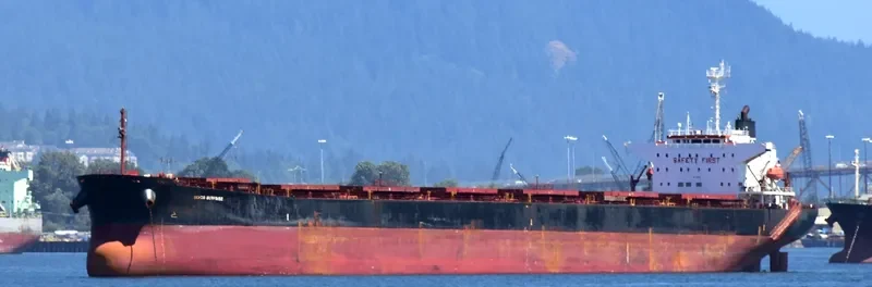 NS NINGBO Bulk Carrier IMO 9184914 photo 6