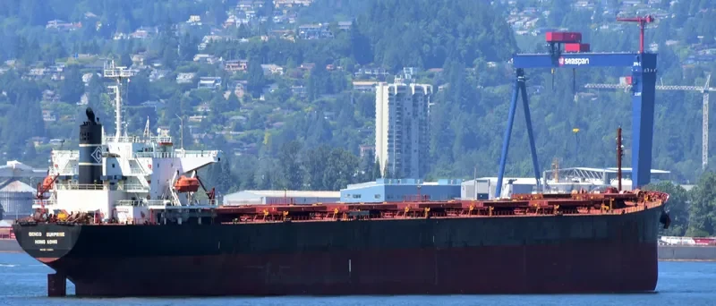 NS NINGBO Bulk Carrier IMO 9184914 photo 7