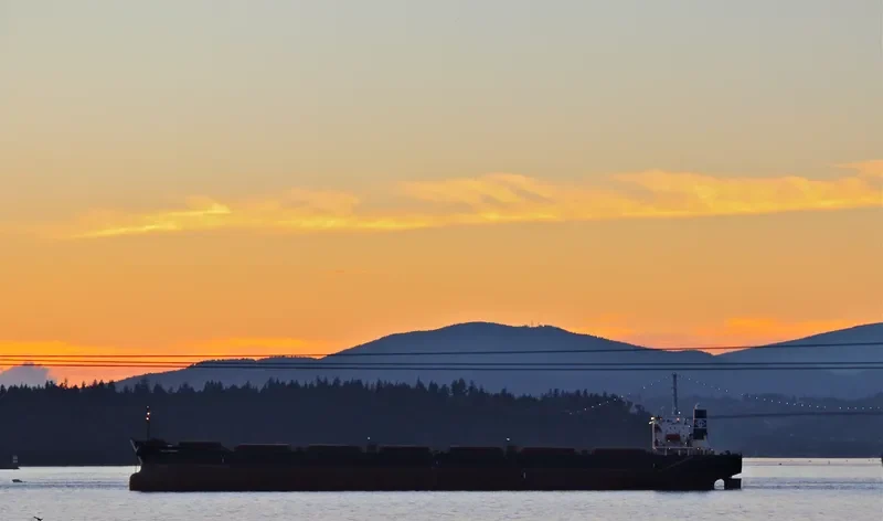 NS NINGBO Bulk Carrier IMO 9184914 photo 9