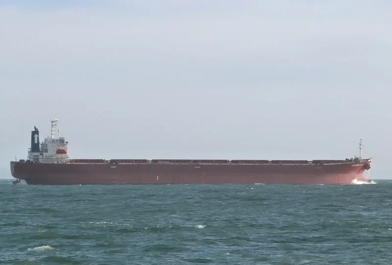 SUMMER LADY Bulk Carrier IMO 9184938 photo 2