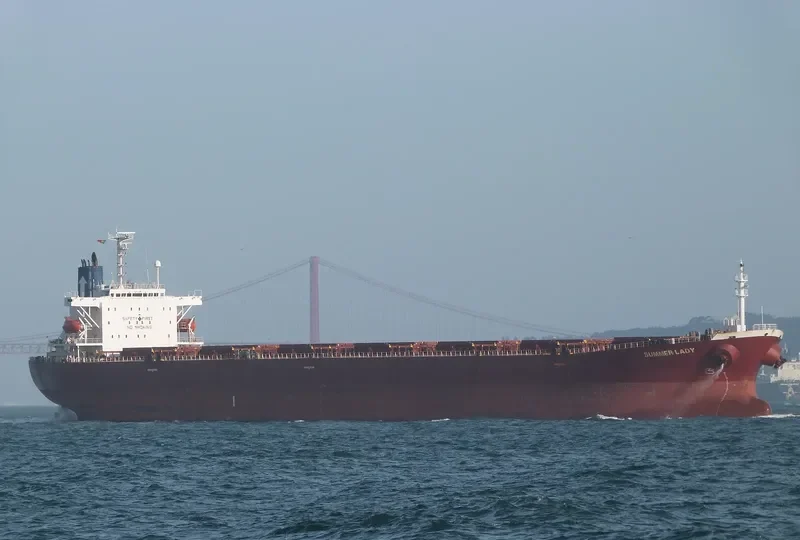 SUMMER LADY Bulk Carrier IMO 9184938 photo 3