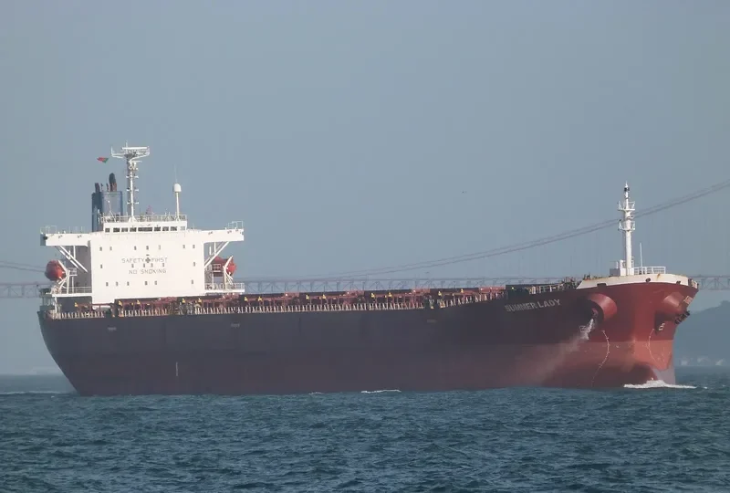 SUMMER LADY Bulk Carrier IMO 9184938 photo 4