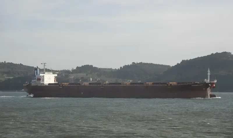 SUMMER LADY Bulk Carrier IMO 9184938 photo 6