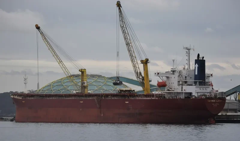 SUMMER LADY Bulk Carrier IMO 9184938 photo 7
