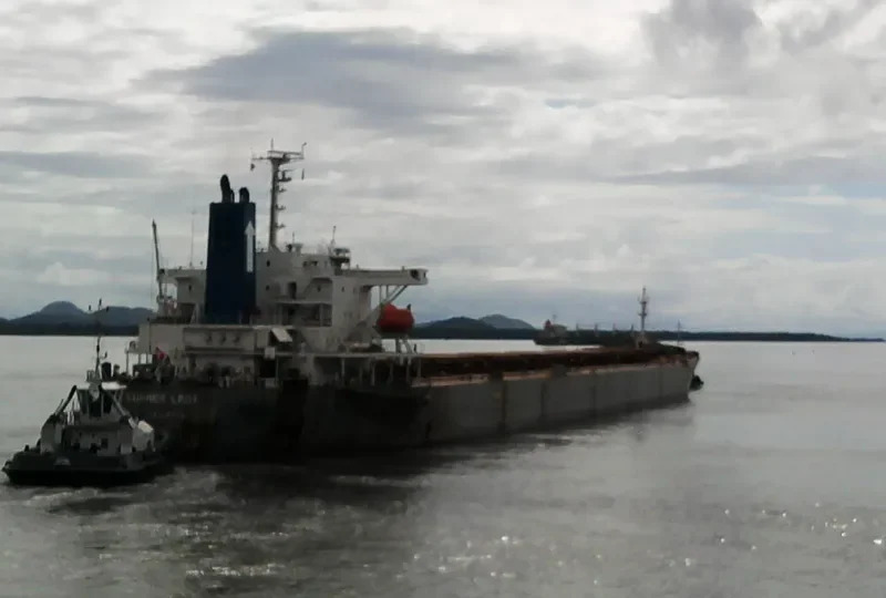 SUMMER LADY Bulk Carrier IMO 9184938 photo 10