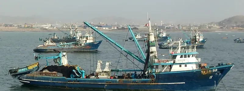 TASA 52 General Cargo IMO 9184952