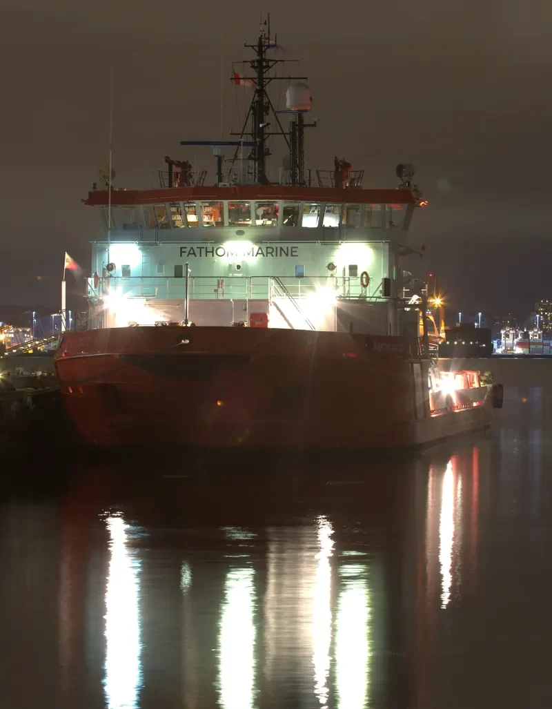 ARCTICABORG Offshore Vessel IMO 9184976 photo 2