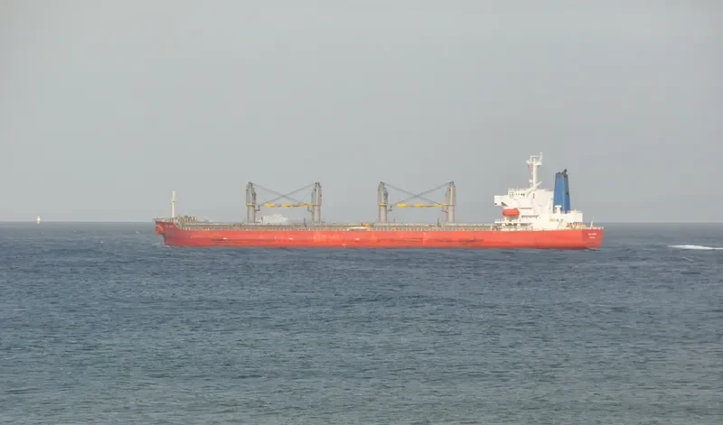 GUO DIAN 32 Bulk Carrier IMO 9185059 photo 5
