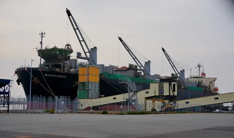 MIRAFLORES Bulk Carrier IMO 9185061