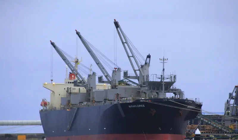 MIRAFLORES Bulk Carrier IMO 9185061 photo 2