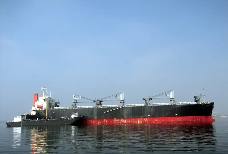 MIRAFLORES Bulk Carrier IMO 9185061 photo 4