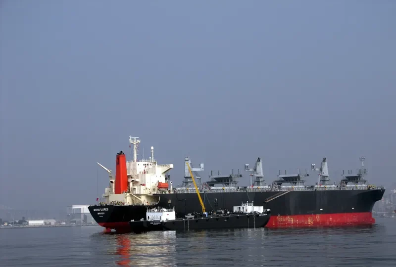 MIRAFLORES Bulk Carrier IMO 9185061 photo 5