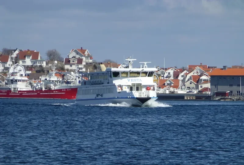 VESTA Passenger Ship IMO 9185102 photo 7