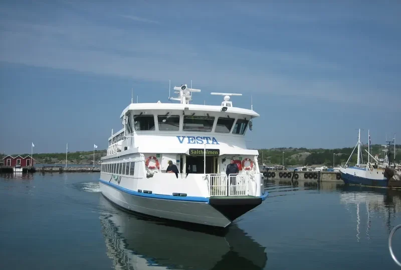 VESTA Passenger Ship IMO 9185102 photo 10